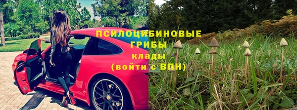 дмт Арсеньев