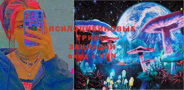 дмт Арсеньев