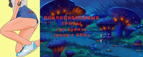 прущая мука Армянск