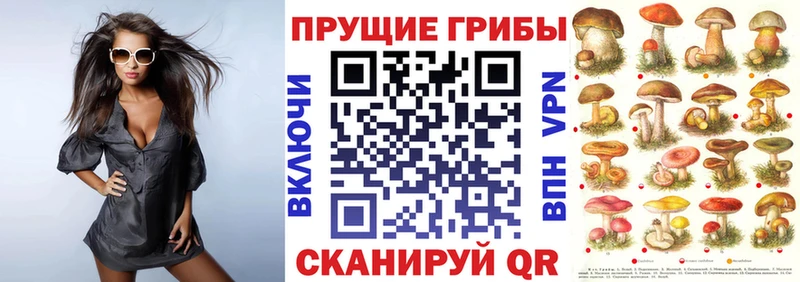 blacksprut зеркало  Заинск  Псилоцибиновые грибы ЛСД 